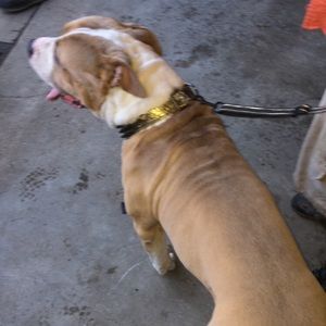 Meet your Posher, Hailey